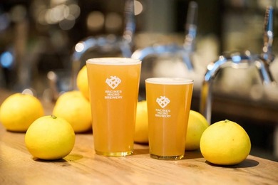 【絶対美味い！日向夏のクラフトビール！】グリップセカンド「日向夏ビール」販売