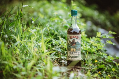 【日本で稀有な薬草酒！】国産アマーロ「SCARLET®︎ 八丈島AMARO」発売