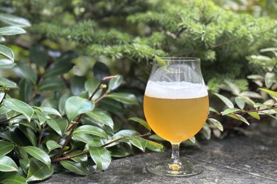 【森の香りを纏った1本！よなよなビアワークス限定クラフトビール】第42弾「WORKS Ale#42 Forest Echo IPA」提供