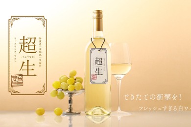 【できたてを72時間以内に発送！フレッシュな味わいの究極に挑戦】「超生 -白ワイン-」販売