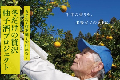 【12月に採れた柚子をお酒に！】「もぎたて桂木柚子で仕込む！冬だけの贅沢柚子酒プロジェクト」販売
