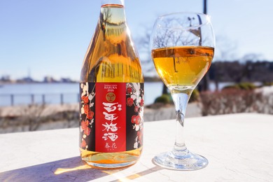 【数々の賞を受賞・日本一の「百年梅酒」の限定モデル！】「梅酒ヌーボー　百年梅酒 春花」が発売