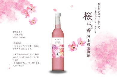 【桜餅のような香りを溶け込ませた梅酒！】初春に寄り添う1本「桜ほの香 万上桜葉梅酒」が発売