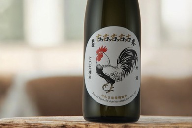 【一生に一度の貴重な一本！】純米酒「大盃 古古古古古米（こここここまい）令和2年産備蓄米」が発売