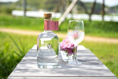 【みずみずしくピュアな薔薇の香り！】「森のジン 薔薇詩（バラード）2026」一般発売