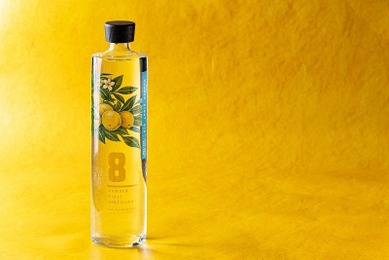 【湘南ゴールドのクラフトジン！】「NUMBER EIGHT GIN 2026 Gold Edition」限定発売