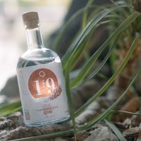 【甲州ぶどうのクラフトジン！】ワイン県ならではの1本「山梨県ジン by agataJapan」販売 画像