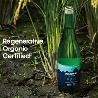 【あの「パタゴニア」による