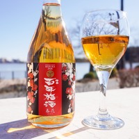 【数々の賞を受賞・日本一の「百年梅酒」の限定モデル！】「梅酒ヌーボー　百年梅酒 春花」が発売 画像
