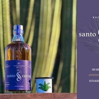 【甘さではなく果実の艶=