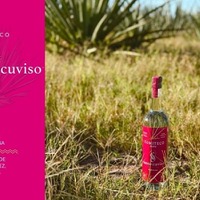 【地理的表示で保護！】伝統的アガベスピリッツ「COMITECO（コミテコ）」が新たに入荷 画像