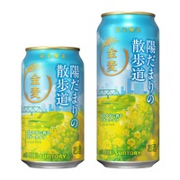 【華やかに香るラガータイプの金麦！】「金麦〈陽だまりの散歩道〉」春季限定新発売 画像