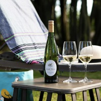 【魚介のための白ワイン！】「ポール・マス ピクプール・ド・ピネ 2024」取り扱い開始 画像