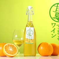 【甘夏100%で造るフルーツワイン！】ピュアな魅力を極めた「甘夏すぎるワイン」販売開始 画像
