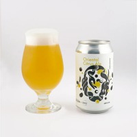 【湘南ゴールドを使用！】清涼感を楽しむクラフトビール「Oriental Citrus Ale」発売 画像