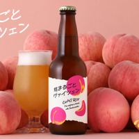 【香りも風味も桃！甘くフルーティな桃の白ビール】「桃まるごとヴァイツェン」販売開始 画像