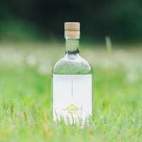 【日本の夏を愉しむジン！】季節限定シリーズ第四作「naturadistill 甘夏薄荷蒸溜酒（Amanatsu Hakka GIN）」先行予約受付開始 画像