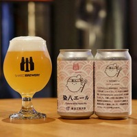 【キャンパスに咲くソメイヨシノがクラフトビールに！】東京都内初の「染八エール」が発売中 画像