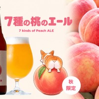 【4年ぶりのボトル販売！】まるで桃のネクターな「7種の桃のエール」登場 画像