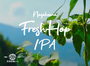 【生ホップを使用したフレッシュホップIPA！】限定醸造ビール「Nagahama Fresh Hop IPA」販売 画像