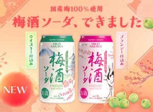 【大人の梅酒ソーダ！国産梅100%使用】「梅酒ソーダ ブランデー仕込み」「梅酒ソーダ ウイスキー仕込み」発売 画像