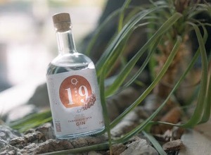 【甲州ぶどうのクラフトジン！】ワイン県ならではの1本「山梨県ジン by agataJapan」販売 画像