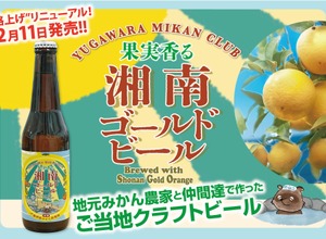 【発泡酒「湘南ゴールドエール」がビールに格上げ！】果実香る「湘南ゴールドビール」発売 画像