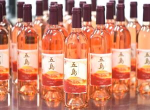 【五島ワイナリーの初挑戦！長崎県五島産ぶどう100%使用】限定ワイン「メルロー（ロゼ）2025」解禁 画像