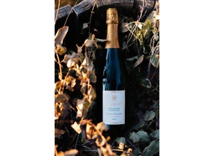 【最高峰のスパークリングワイン！】「ソラリス 千曲川 シャルドネ メトッド・トラディッショネル ブリュット・ナチュール2018」販売開始 画像