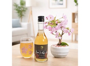 【母の日ギフトや春の贈り物に！】本物のミニ桜が咲く「おうちでお花見　～梅酒と盆栽セット～」発売 画像