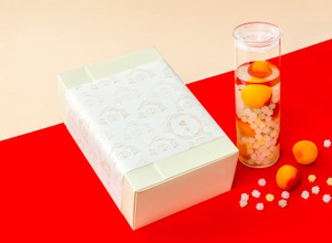 【20歳を迎える娘・姪・大切な人へ贈る！】自分で梅酒を仕込む体験型ギフト「20歳の記念 蝶矢梅酒キット」発売 画像