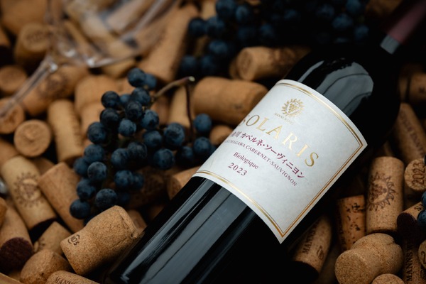 樹齢35年超え！希少な小諸産シャルドネを厳選】「ソラリス 小諸